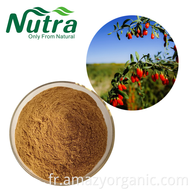 Goji Berry Powder